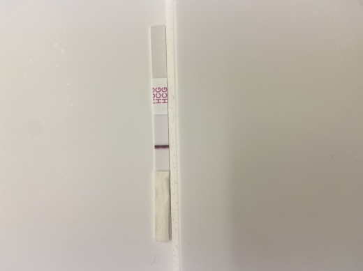 Home Pregnancy Test
