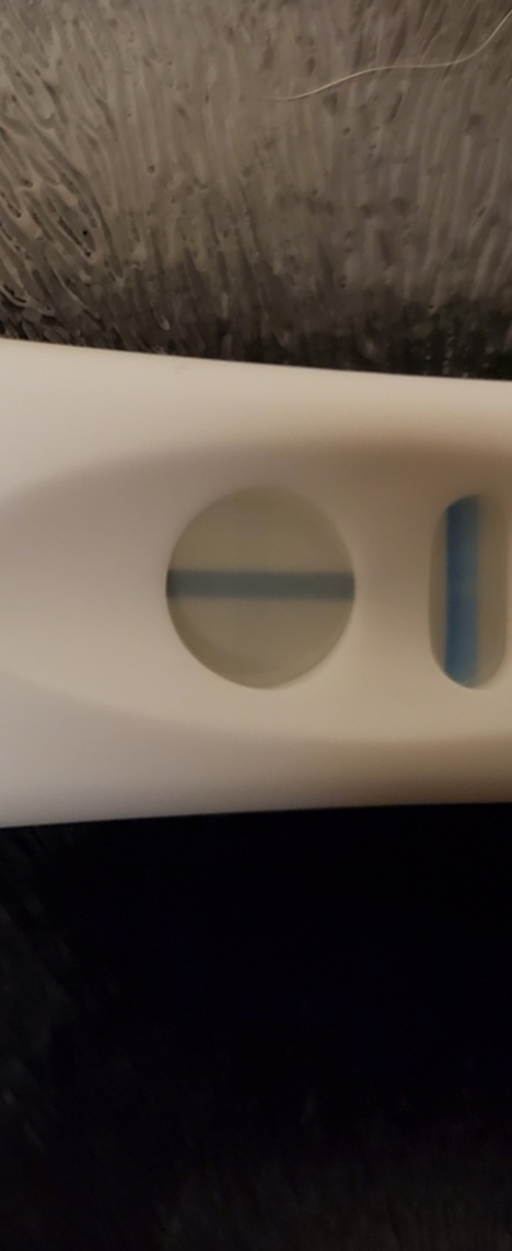 Generic Pregnancy Test, Cycle Day 28