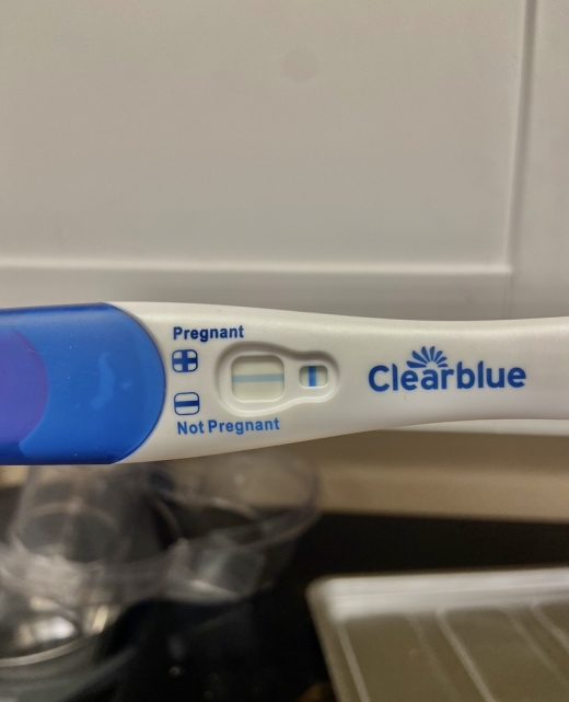 Home Pregnancy Test