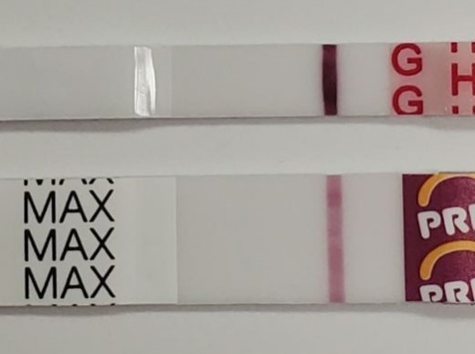 Wondfo Test Strips Pregnancy Test