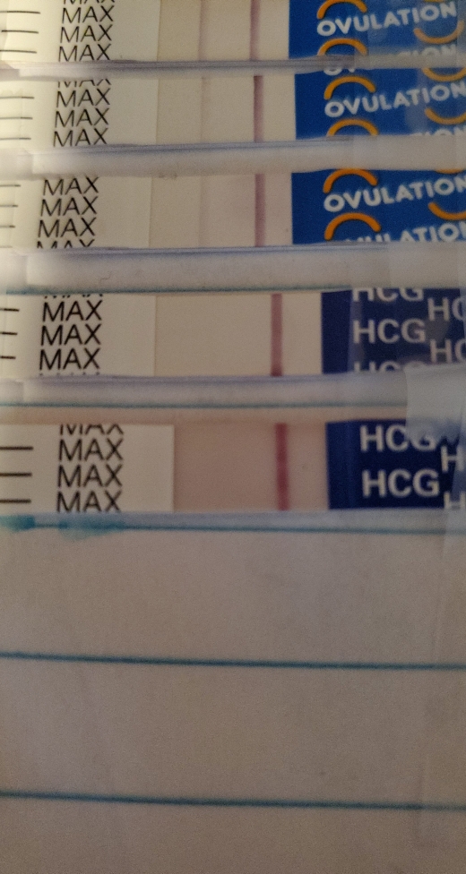 Home Pregnancy Test
