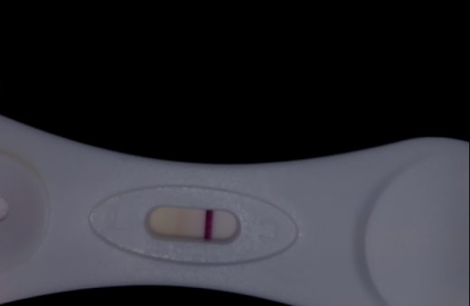 New Choice Pregnancy Test