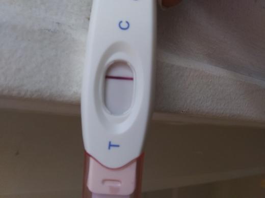 Home Pregnancy Test