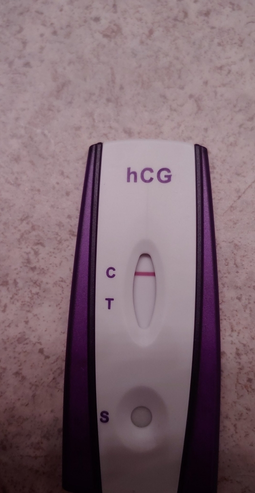 Home Pregnancy Test