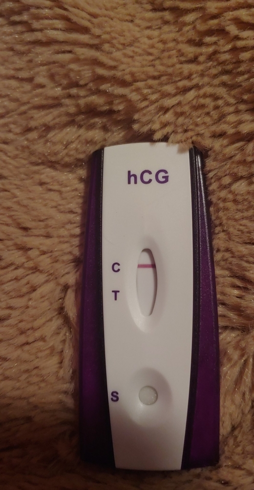 Home Pregnancy Test
