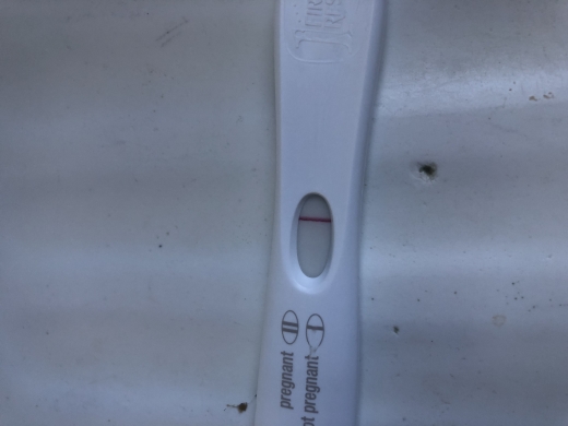 Home Pregnancy Test