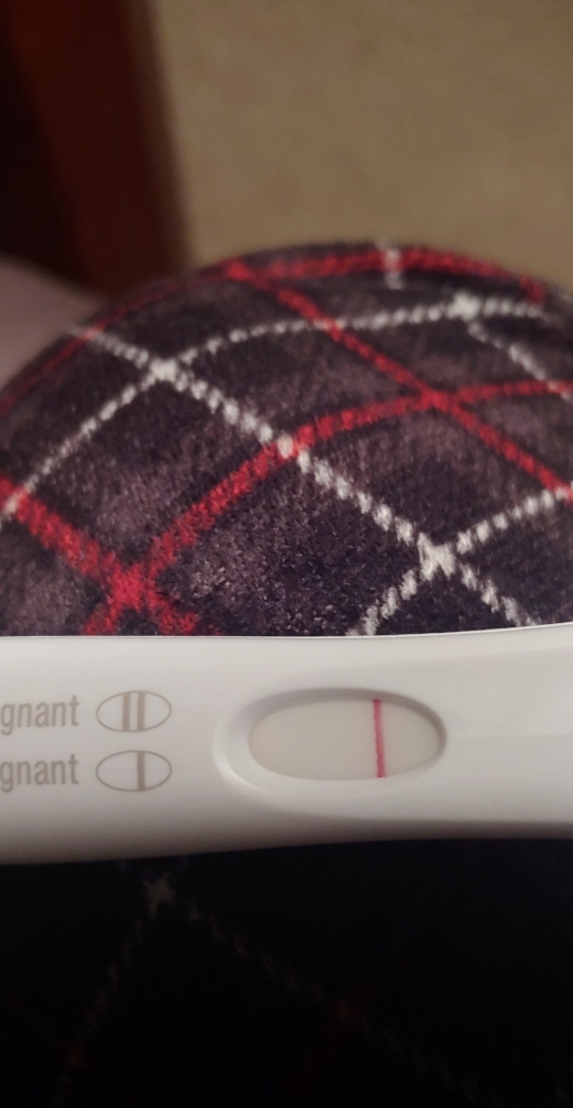 Home Pregnancy Test