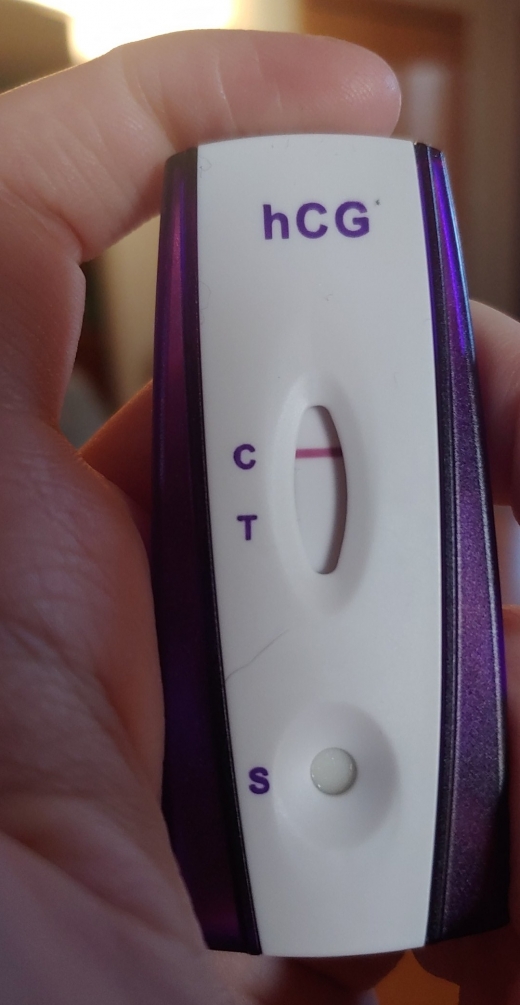 Home Pregnancy Test