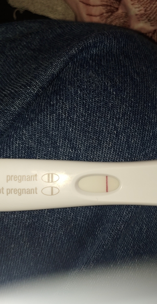 Home Pregnancy Test