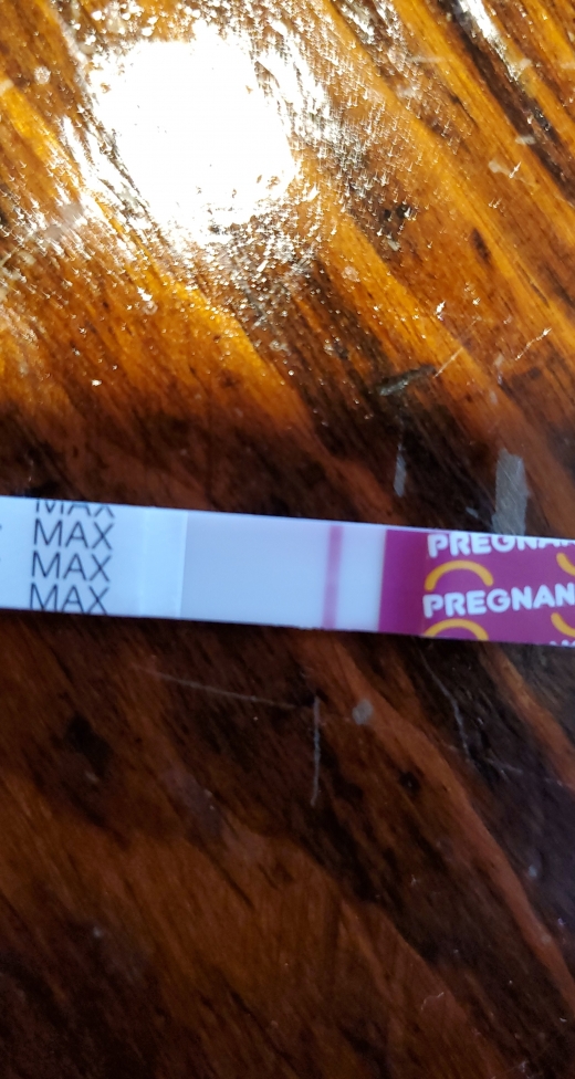 Home Pregnancy Test