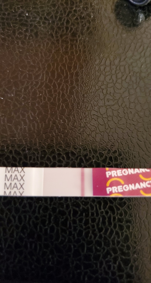 Home Pregnancy Test