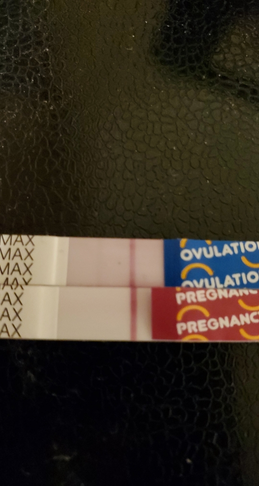 Home Pregnancy Test