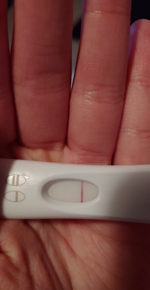 Home Pregnancy Test