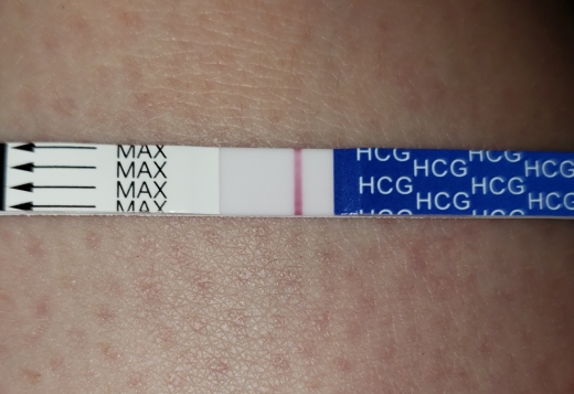 Home Pregnancy Test