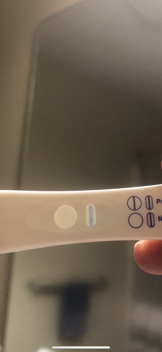 Home Pregnancy Test