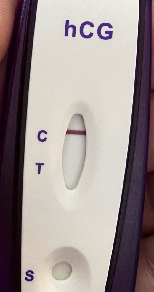 Home Pregnancy Test