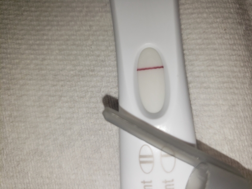 First Response Early Pregnancy Test, 12 Days Post Ovulation