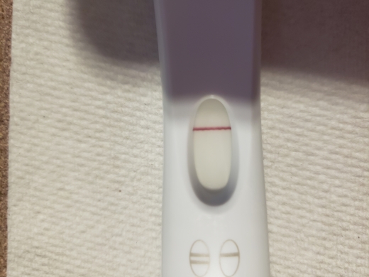 First Response Early Pregnancy Test, 12 Days Post Ovulation