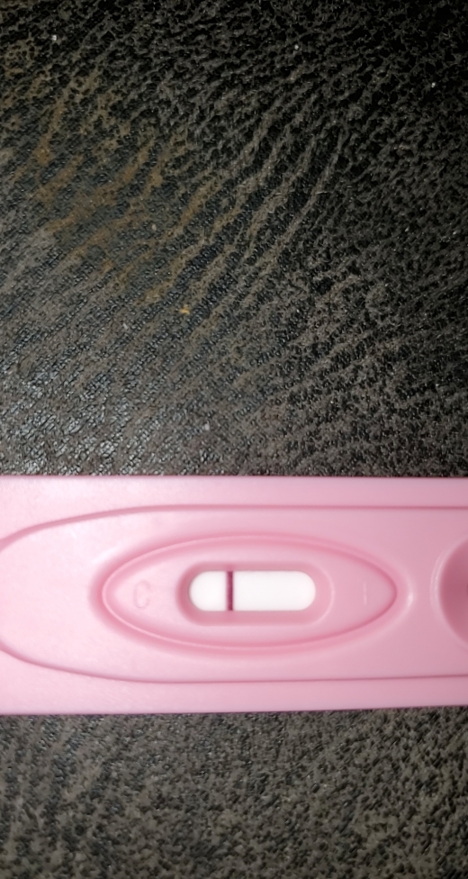 Home Pregnancy Test