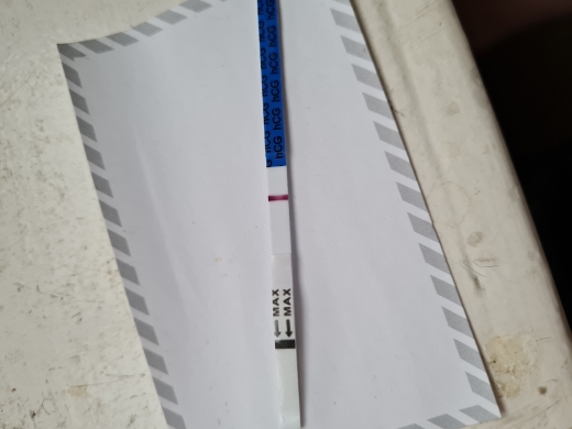 Home Pregnancy Test