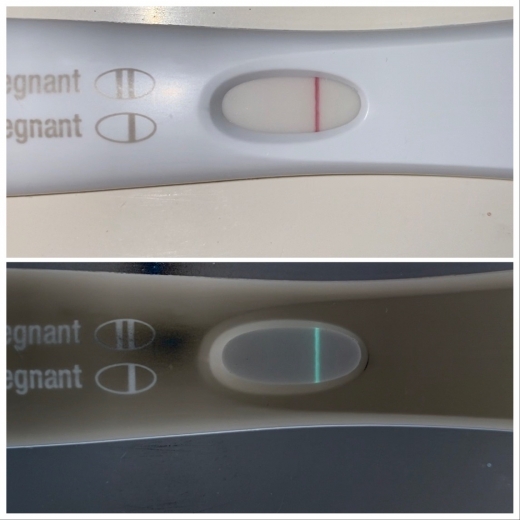 First Response Early Pregnancy Test, FMU