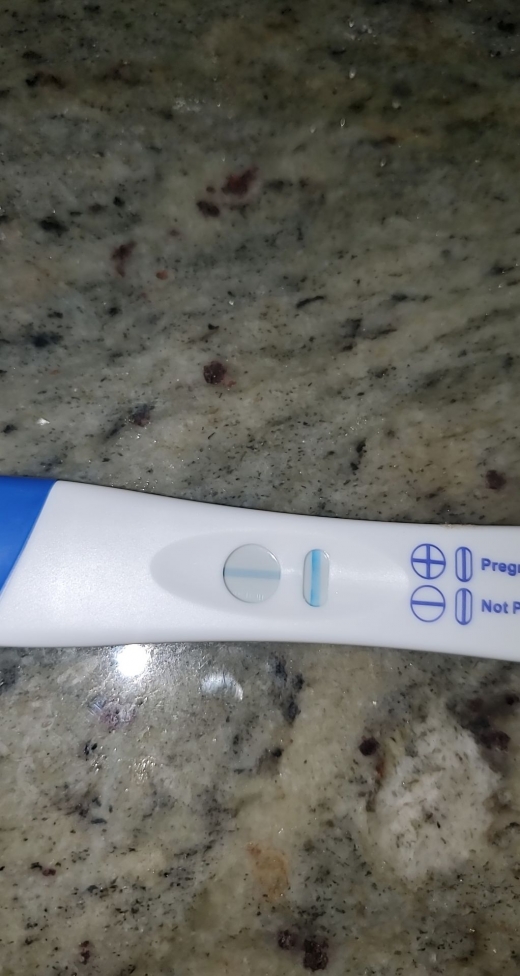 Home Pregnancy Test