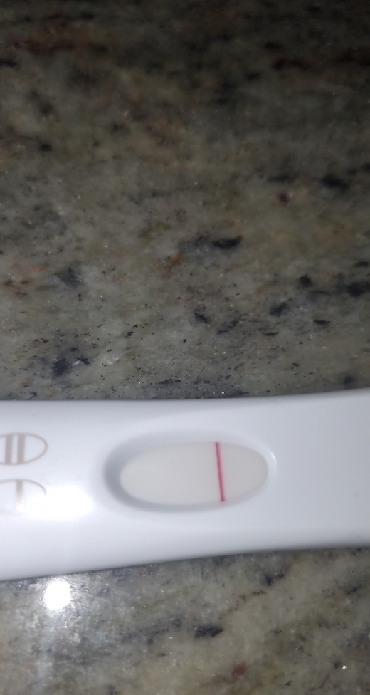 Home Pregnancy Test