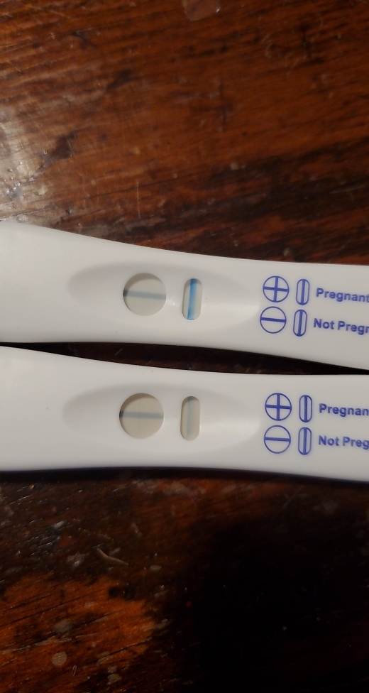 Home Pregnancy Test