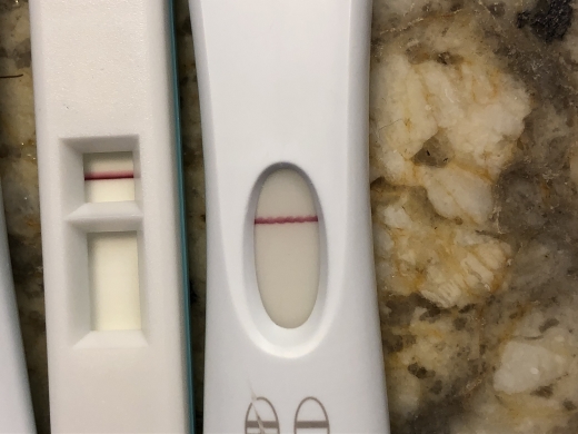 Home Pregnancy Test