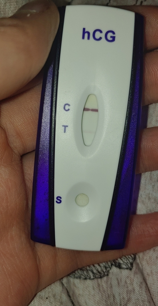 Home Pregnancy Test