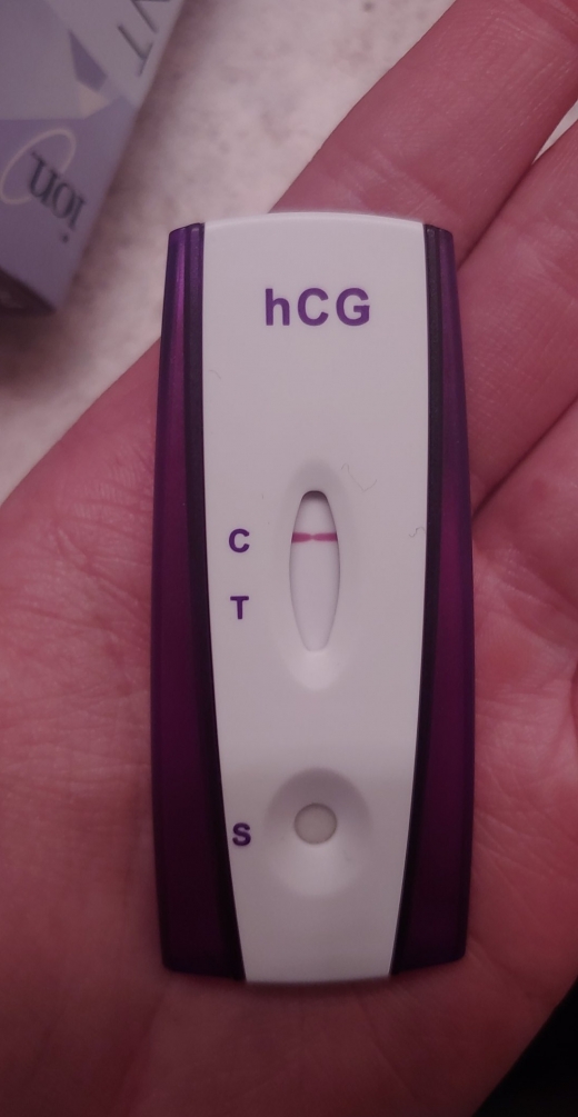 Home Pregnancy Test