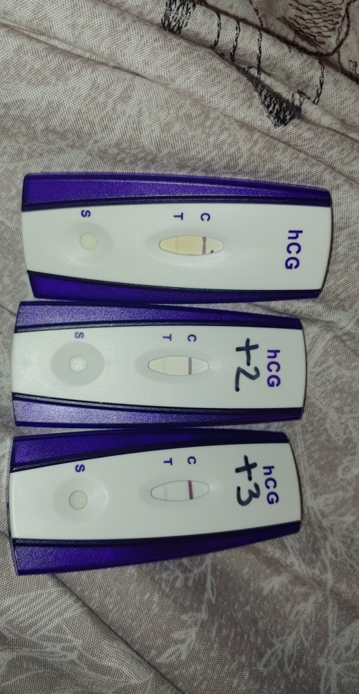 Home Pregnancy Test