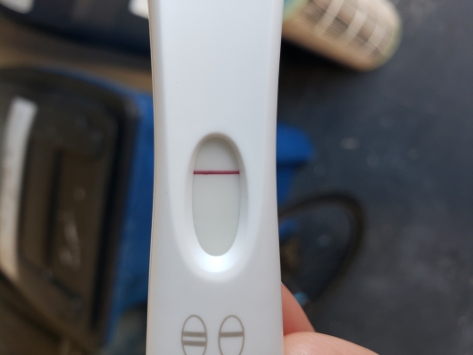 Home Pregnancy Test