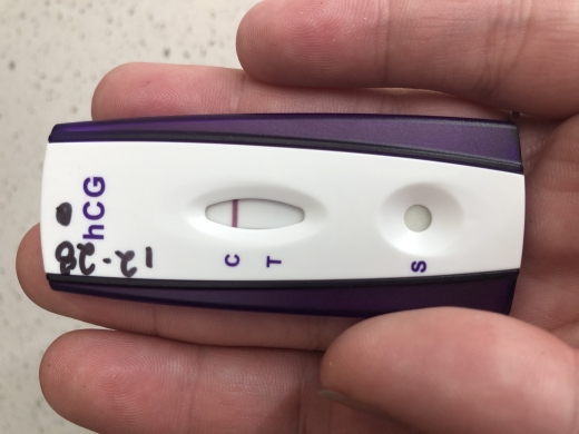 Home Pregnancy Test