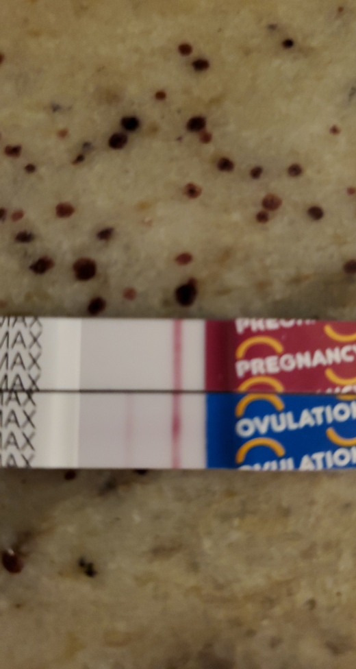 Home Pregnancy Test