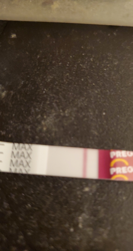 Home Pregnancy Test