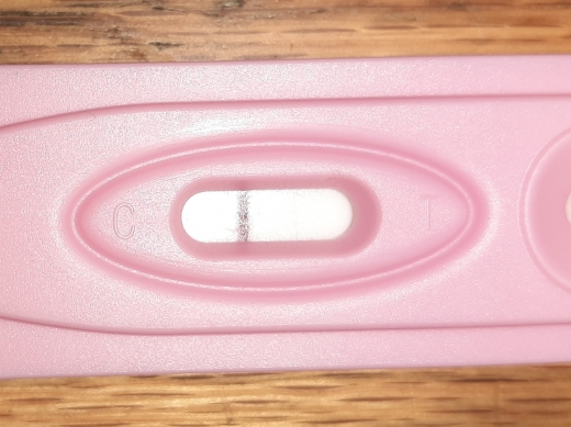 Home Pregnancy Test