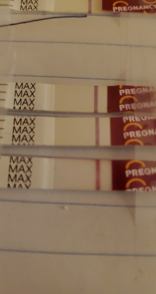 Home Pregnancy Test