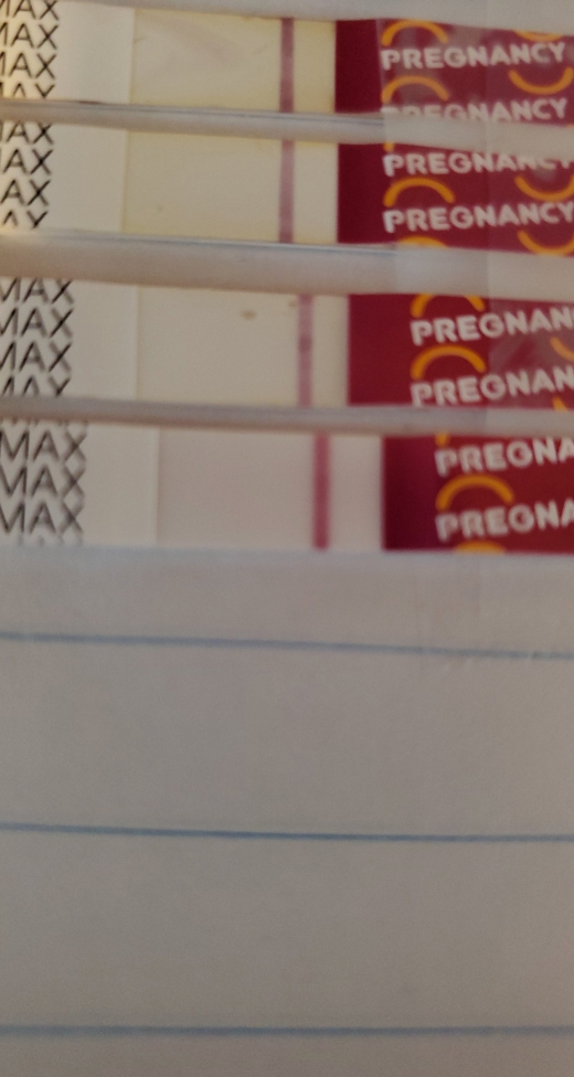 Home Pregnancy Test