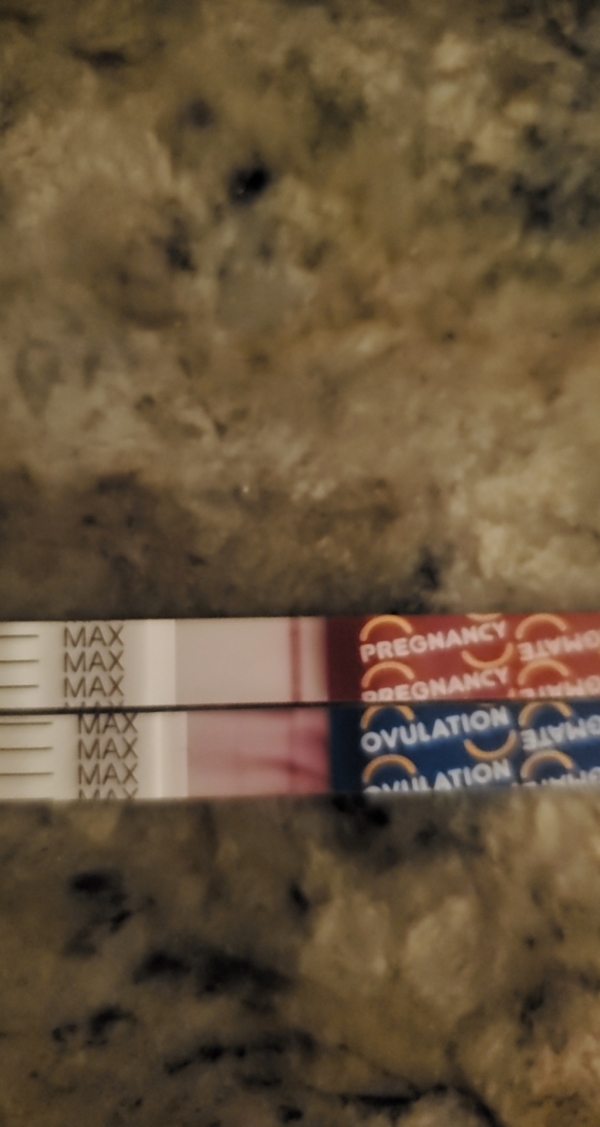 Home Pregnancy Test