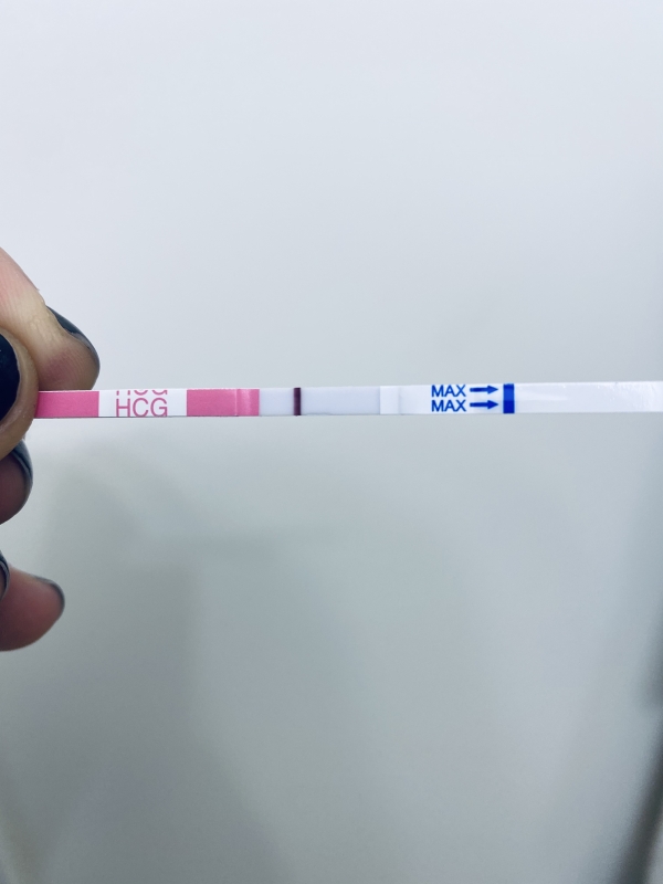 Home Pregnancy Test