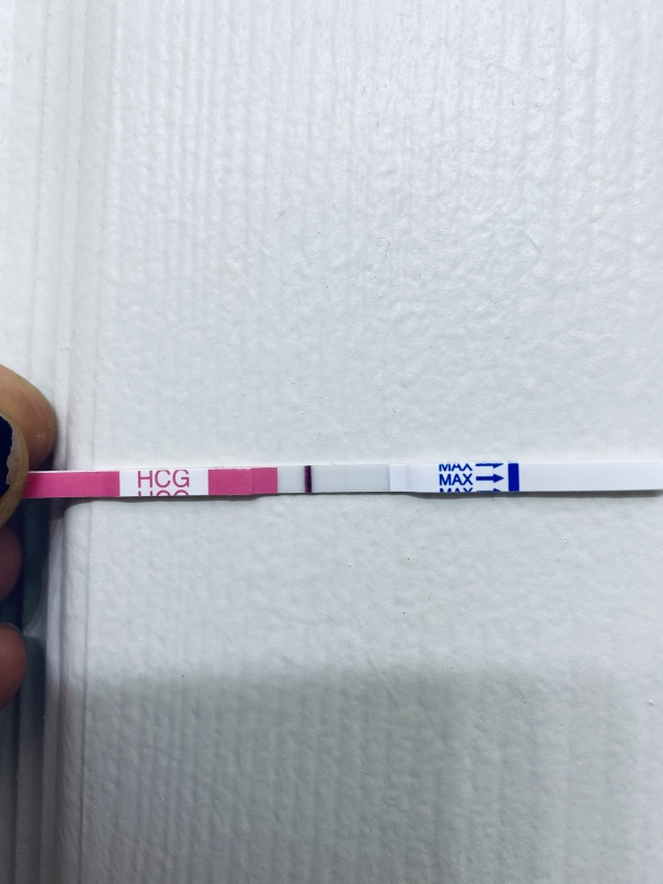 Home Pregnancy Test