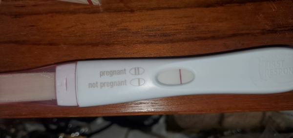 Home Pregnancy Test