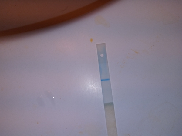 Home Pregnancy Test, 14 Days Post Ovulation