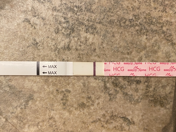 Easy-At-Home Pregnancy Test