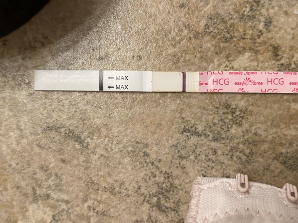 Easy-At-Home Pregnancy Test