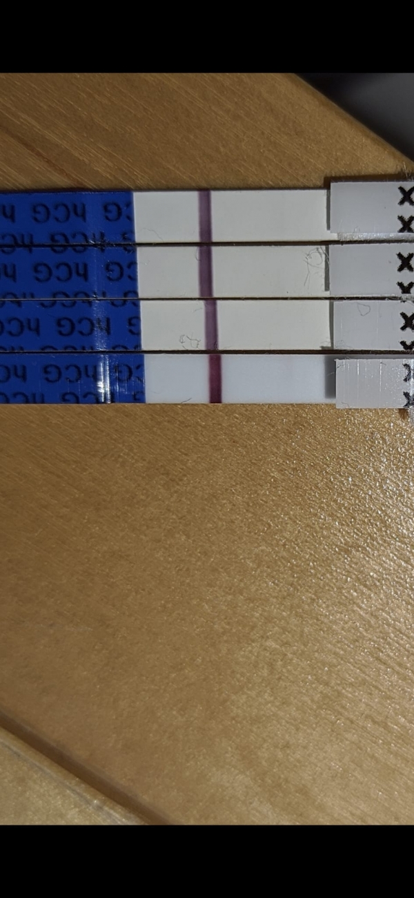 Home Pregnancy Test