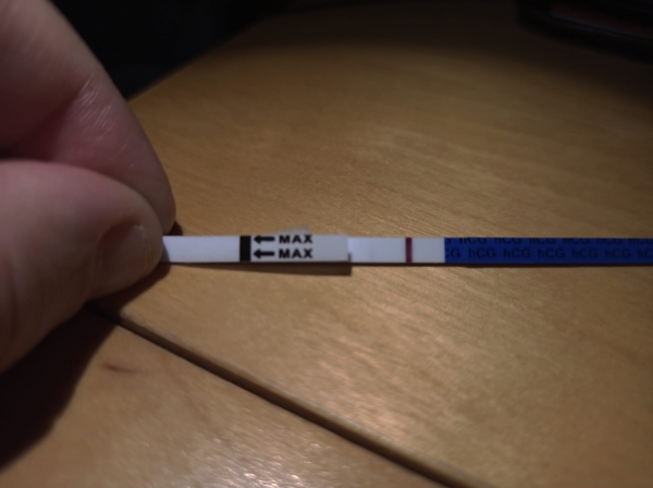 Home Pregnancy Test