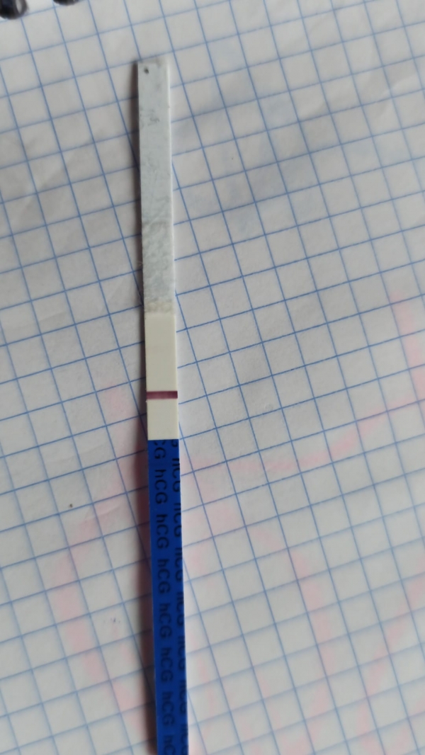 Home Pregnancy Test
