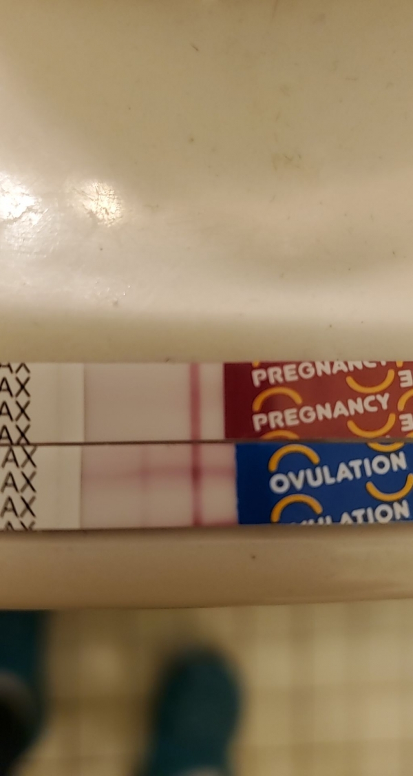 Home Pregnancy Test